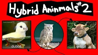 Internet Names for Hybrid Animals (Pt. 2)