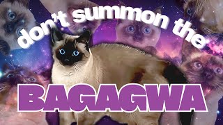 BAGAGWA MADNESS 😼💥 (You’ve Been Warned)