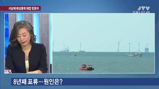 [시사진단] 서남해 해상풍력 해법 찾을까 2019. 8. 3(토)