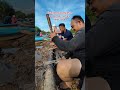 Nubai di sungai balingian.