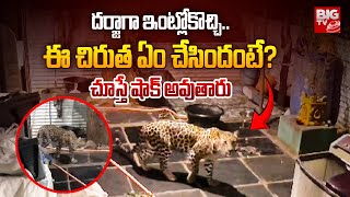 LEOPARD Enters Into House : దర్జాగా ఇంట్లోకొచ్చి.. ఈ చిరుత ఏం చేసిందంటే? | BIG TV