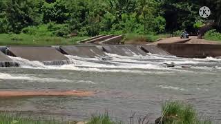 വാഹന ഗതാഗതം നിരോധിച്ച കൊണ്ടാഴി എഴുന്നള്ളത്ത് കടവ് തടയണയ്ക്ക് മീതെ  ഇരുചക്ര വാഹനങ്ങളുടെ അപകട യാത്ര.