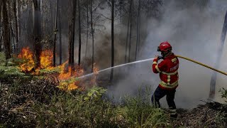 Detenções por fogo posto a aumentar após dia com um novo incêndio a cada 10 minutos