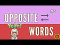 Opposite Words in Malay - Memorize vocabs EASILY!!  - PART 5 -  #learnmalay #malaylanguage