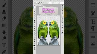 Rotate the Copy Layer no need Install apps
