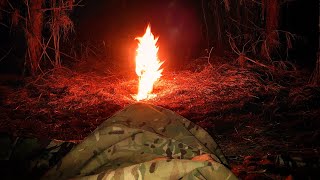 Solo Wildcamp in Thetford Forest #wildcamping #bushcraft #offgrid