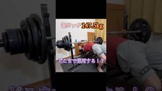 147.5kg初タッチ！エブリベンチ【Day 49】