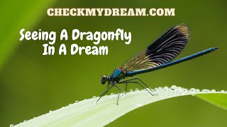 Which Messages Are Hidden in Your Dream About Dragonfly?