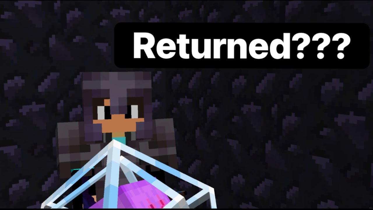 I Returned To Donut Smp Youtube