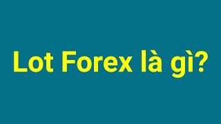 Forex | Lot là gì - Lot trong Forex là gì - Nên giao dịch bao nhiêu Lot