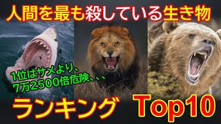 人間を最も殺している生物ランキングTop10