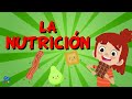 LA NUTRICIÓN | Videos Educativos para niños