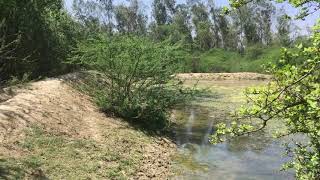 Artificial lake in bir bhadson march 2021