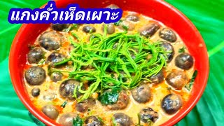 แกงคั่วเห็ดเผาะ สูตรเข้มข้น หอมอร่อย ทำง่าย คลิปสั้นกระชับ