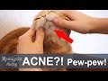 😲 Part1: FELINE ACNE - blackheads on a cat's chin