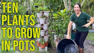 10 Heat Tolerant Edible Plants For Container Gardens In Florida