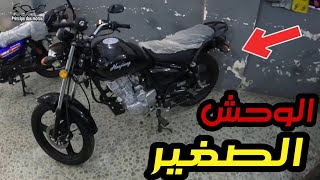 سعر الموتوسيكل الهوجن 3 الارنبه ابو حواء 5 نجوم  Hogan 3