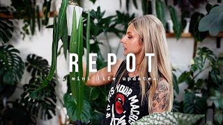 Repot with me! + Some mini life updates and channel uploads!