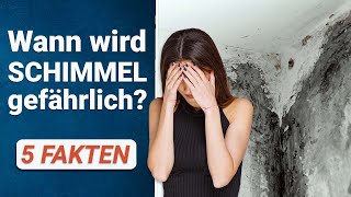 Ist Schimmel gefährlich? ☠️ 5 Fakten über Schimmel, die du kennen solltest!