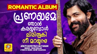 പ്രണയമേ ഞാന്‍ കരയുമ്പോള്‍ ചിരിതൂകി നീ മറയുന്നു |  Album Song | Aduthaveetile Kalyanam | Shafi Kollam