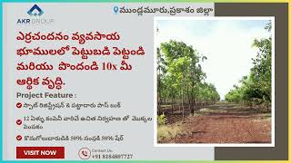 Farmland Plots @ Mundlamuru | Prakasam Dt  | 105 Acers |  Price 750rs SQYard | Sales: +𝟗𝟏 𝟖𝟏𝟖𝟒𝟖𝟎𝟕𝟕𝟐𝟕