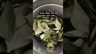 कढीपत्ता पावडर कशी करावी/#shorts #curryleaves how to make curry leaves powder/