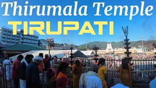 Tirupati | Journey of Devotion | திருப்பதி கோவில்