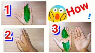 Tree leaf magic trick || DIY || tree leaf craft, #easytips520