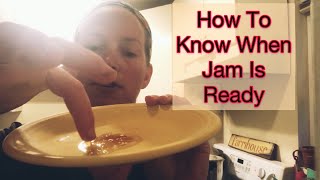 How to Know When Jam is ready (Plate test and Spoon Test) | Little Roots Ranch with Christi