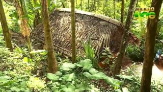 Quarry Mafia active in Kozhikode Pookkunnu Hill