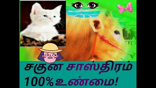 சகுன சாஸ்திரம் 100% உண்மை! OMEN ASTROLOGY 100%PROOF!