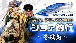 【エギング】アモってるかい？ショア釣行in壱岐島