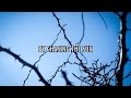 Billy Talent - Chasing The Sun (lyric Video)