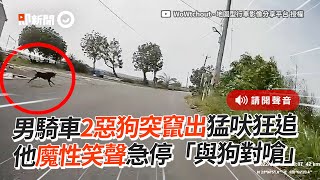 騎車被2惡狗狂追猛吠　他魔性笑聲急停與狗對嗆｜寵物動物｜黑狗｜搞笑