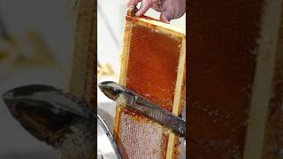 ശുദ്ധമായ തേൻ || Beekeeping || തേനീച്ച വളർത്തൽ