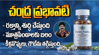 మీ శరీరాన్ని శుభ్రపరిచే అమృతగుళిక – చంద్రప్రభ వటి | Benefits in Telugu | Uses, Dosage, Side Effects