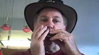 Chromatic vs. Diatonic harmonica Gary Lehmann