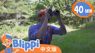 布利皮露营 | Blippi 中文版 | 儿童教育视频 | 实景探索