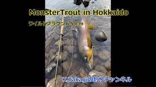 Monster Trout in Hokkaido　激流にモンスターブラウンを狙う！