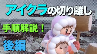 【スマブラSP】アイスクライマー実戦で使う切り離し解説　後編