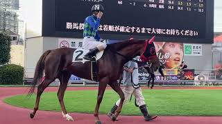 2023.8.23 川崎🐎6R ラスティンボーイ、森泰斗騎手