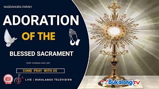 ADORATION OF THE BLESSED SACRAMENT | 27TH- FEB- 2025 | NADDANGIRA PARISH