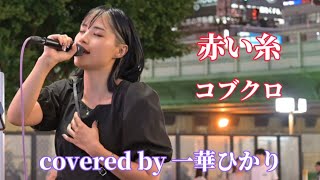 【歌うま】赤い糸 / コブクロ《covered by 一華ひかり》 ※概要欄も見てください