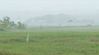 മഴ കനക്കുന്നതിൽ ആശങ്കയോടെ മലയോര മേഖലയിലെ സാധാരണക്കാരും തോട്ടം തൊഴിലാളികളും