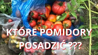 Które Pomidory warto posadzić? - Opis odmian  cz.2