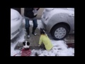 『クロの雪遊び』ボストンテリア boston terrier