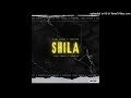 Tarl Keddy & Teeydor - Shila ( Official Audio )