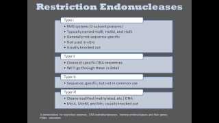 Endonucleases