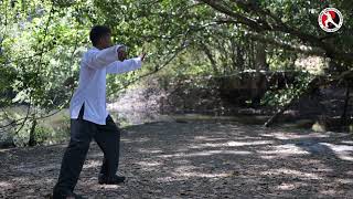 Tai Chi 8 Forms in Nature