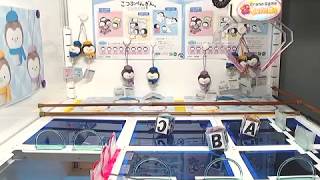 [Fun汀Play] Toreba 福利台 小企鵝 こつぶぺんぎん Hobby Penguin. Winter mascot A Get!